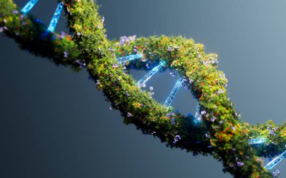 Green DNA